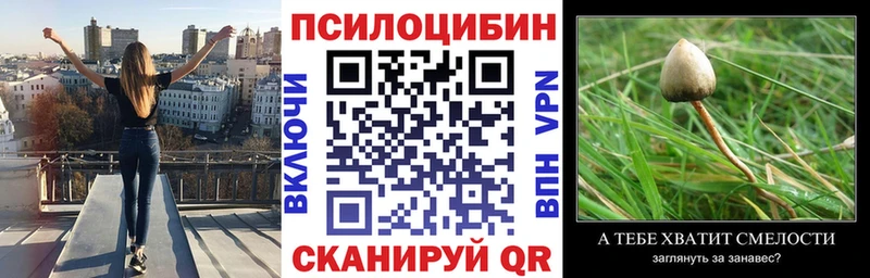 МЕГА как войти  мориарти состав  Благовещенск  Галлюциногенные грибы GOLDEN TEACHER  купить закладку 